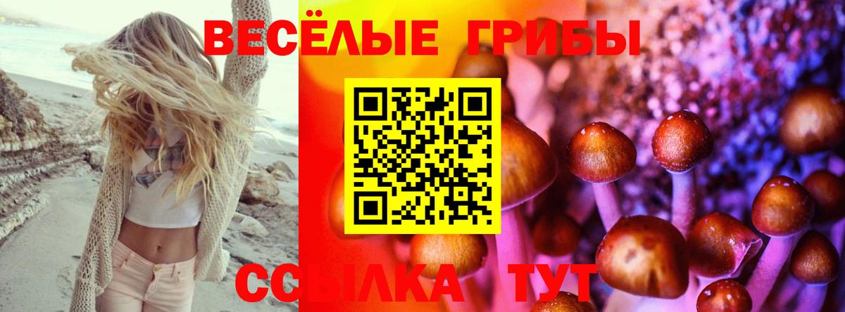 Галлюциногенные грибы ЛСД  Вход с VPN  Псилоцибиновые грибы прущие грибы  Саяногорск 
