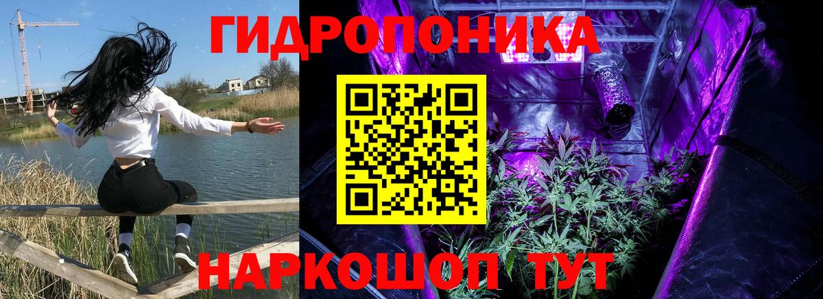 Каннабис OG Kush Саяногорск